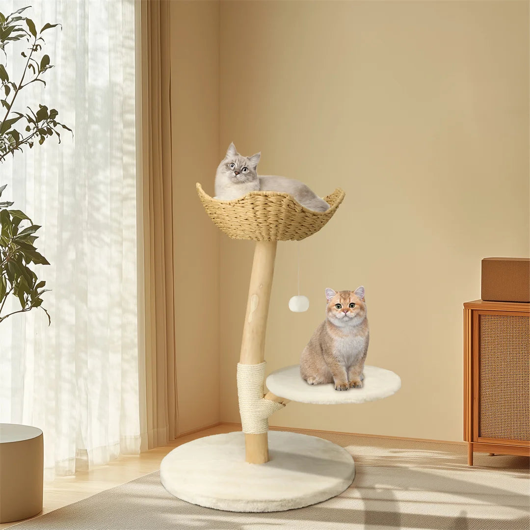 BINGOPAW natural wood cat tree – play, rest & style in one