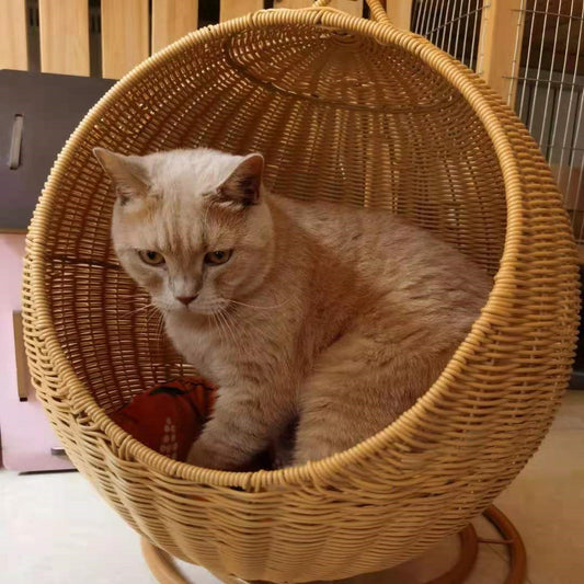 Cat mattress &amp; cradle – Breathable feel-good bed for velvet paws