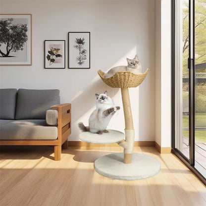 BINGOPAW natural wood cat tree – play, rest &amp; style in one