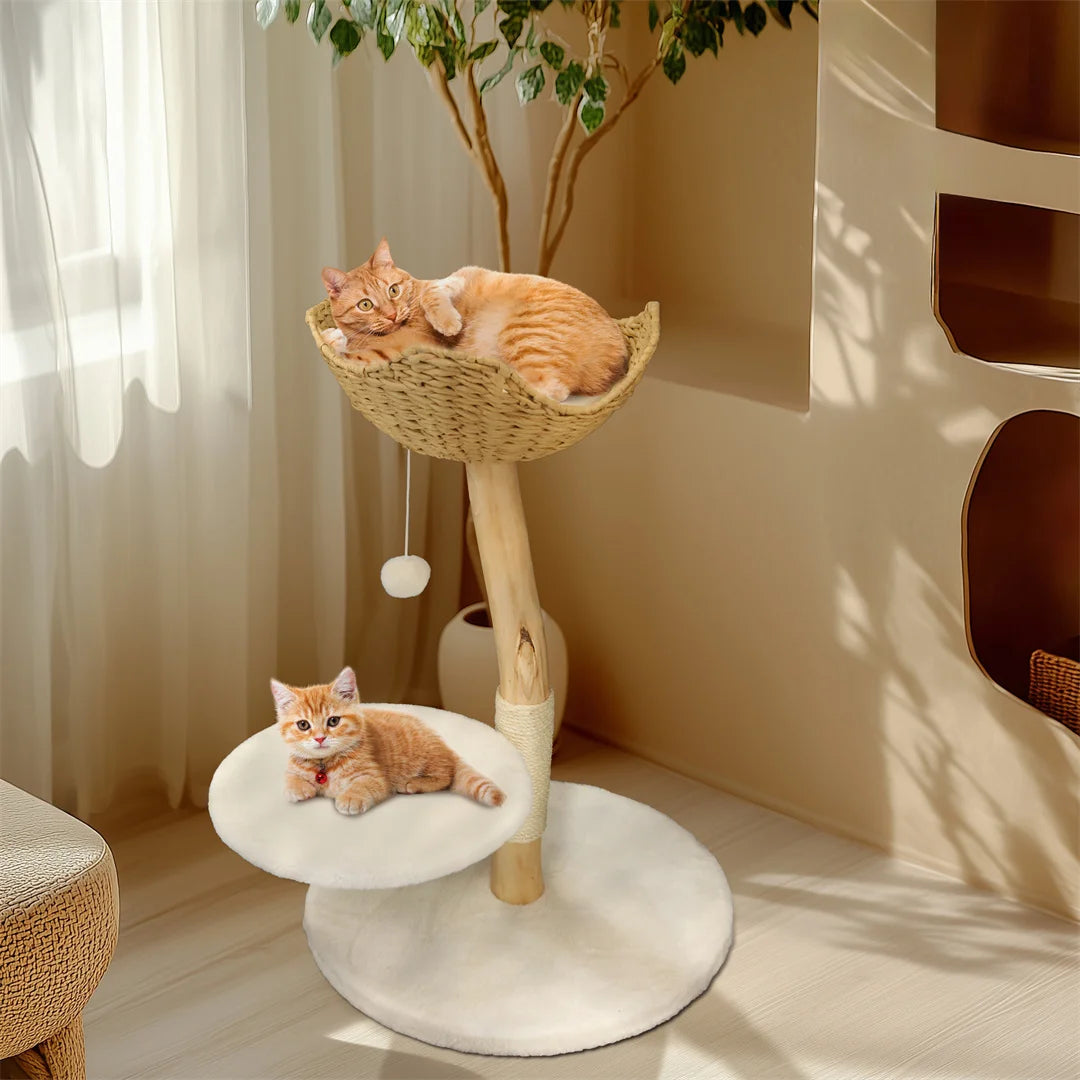 BINGOPAW natural wood cat tree – play, rest &amp; style in one