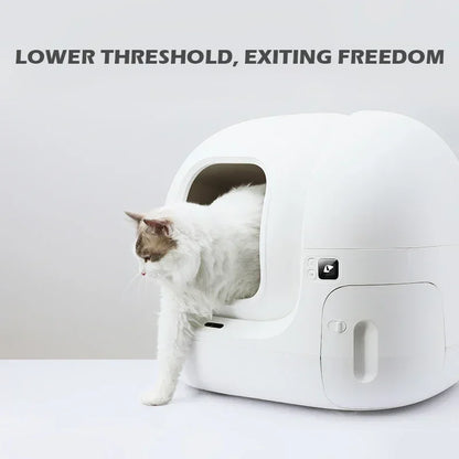 Petkit Pura MAX: Der intelligente, selbstreinigende Katzentoiletten-Genuss