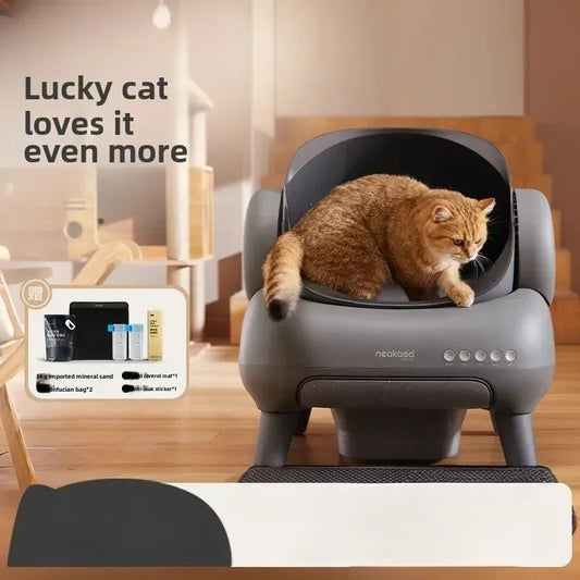 Das smarte Katzenklo für entspannte Katzen und glückliche Besitzer