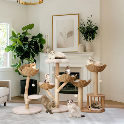 BINGOPAW natural wood cat tree – play, rest &amp; style in one