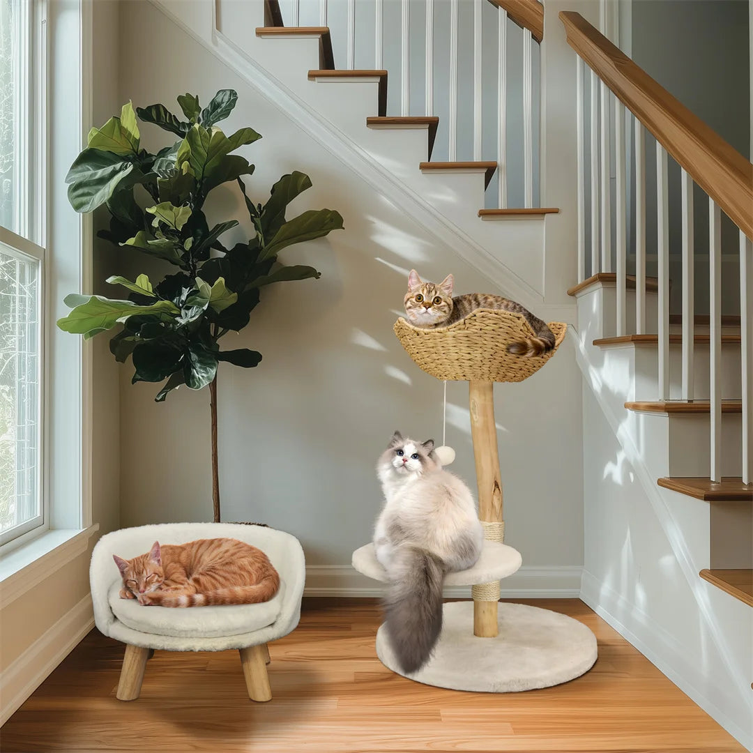 BINGOPAW natural wood cat tree – play, rest &amp; style in one