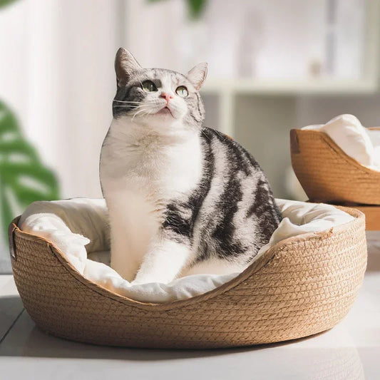 Hand-woven cat bed – Naturally beautiful &amp; made to dream
