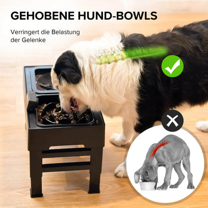 Amicura 2-in-1 Napfstation – Höhenverstellbar, auslaufsicher & gemütlich durchdacht